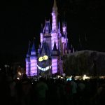 Picture of Cinderellas Castle Chesire Cat display Walt Disney World