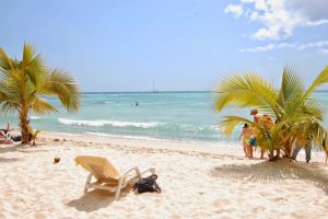 Picture of white sand beach Saona Island Dominican Republic
