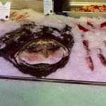 Picture of scary fish sold at Mercato San Miguel in Madrid Spain